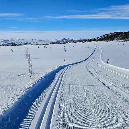 Torsetlia And 3* Uvdal