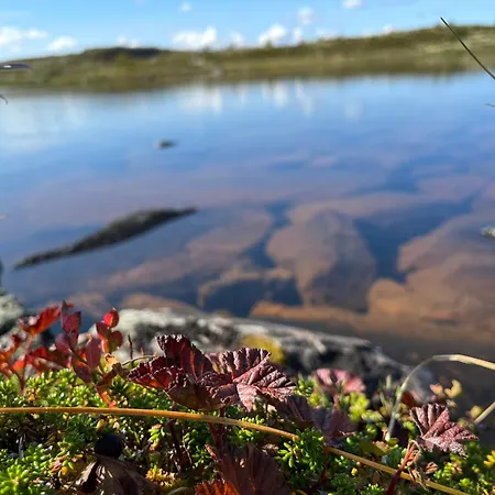 Torsetlia And Parco vacanze