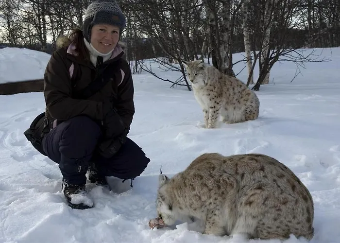 Parco vacanze Torsetlia And Uvdal