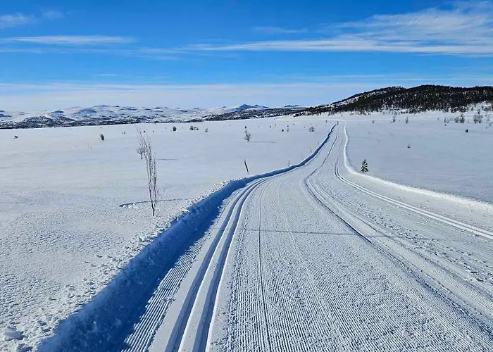 Torsetlia And 3* Uvdal